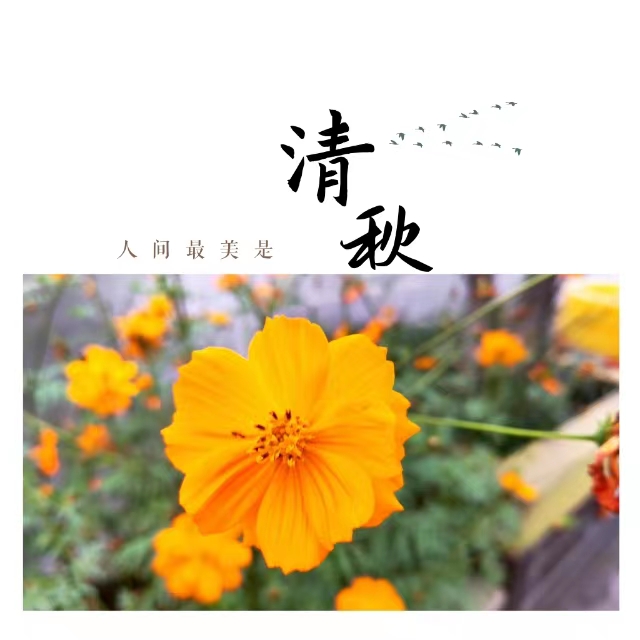 ۽Ǯ(hu)ʮ䓳ǡӡ
