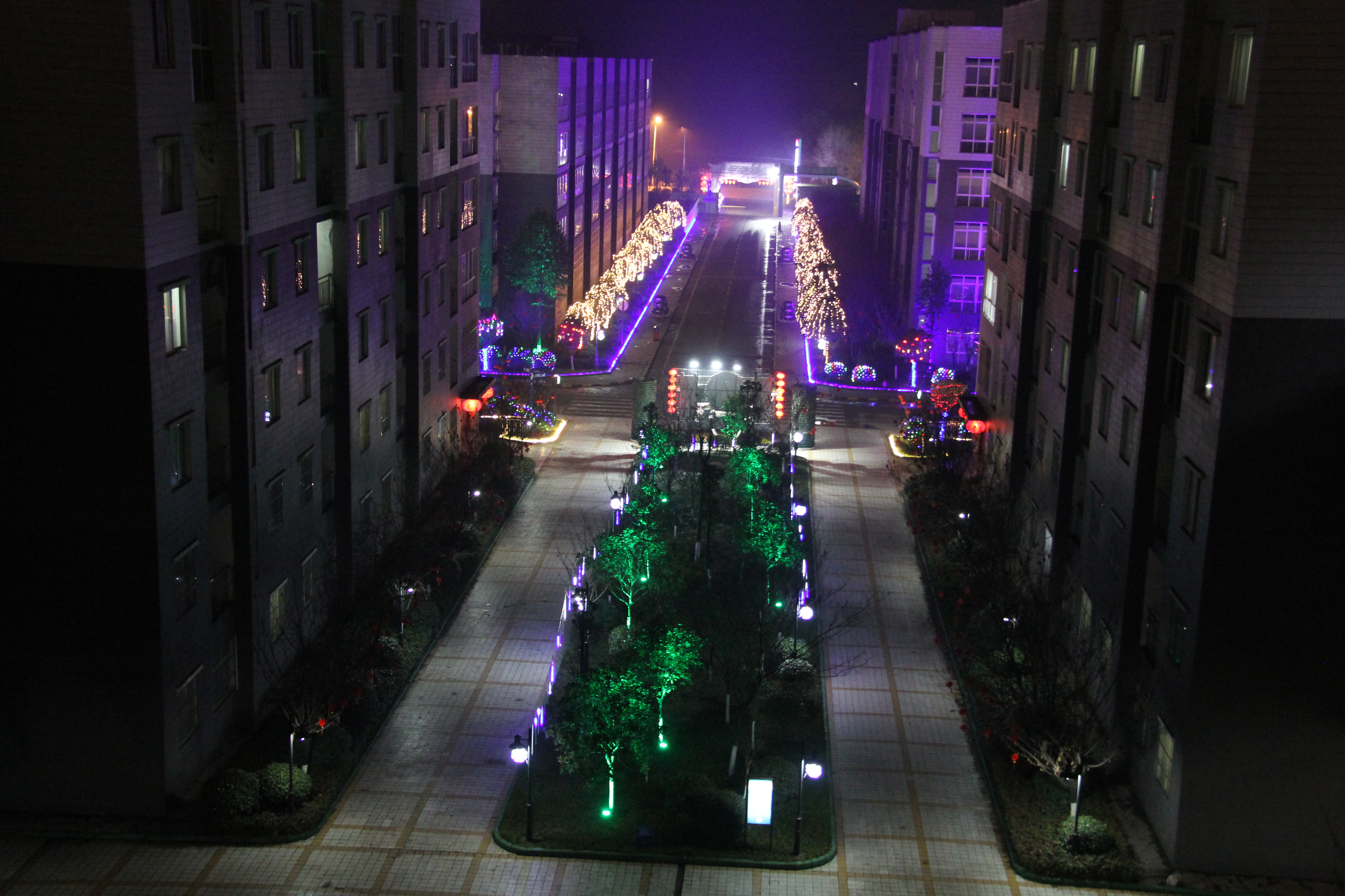 ڱϡκڲ벢e(qing)׌Tggϲϲ^