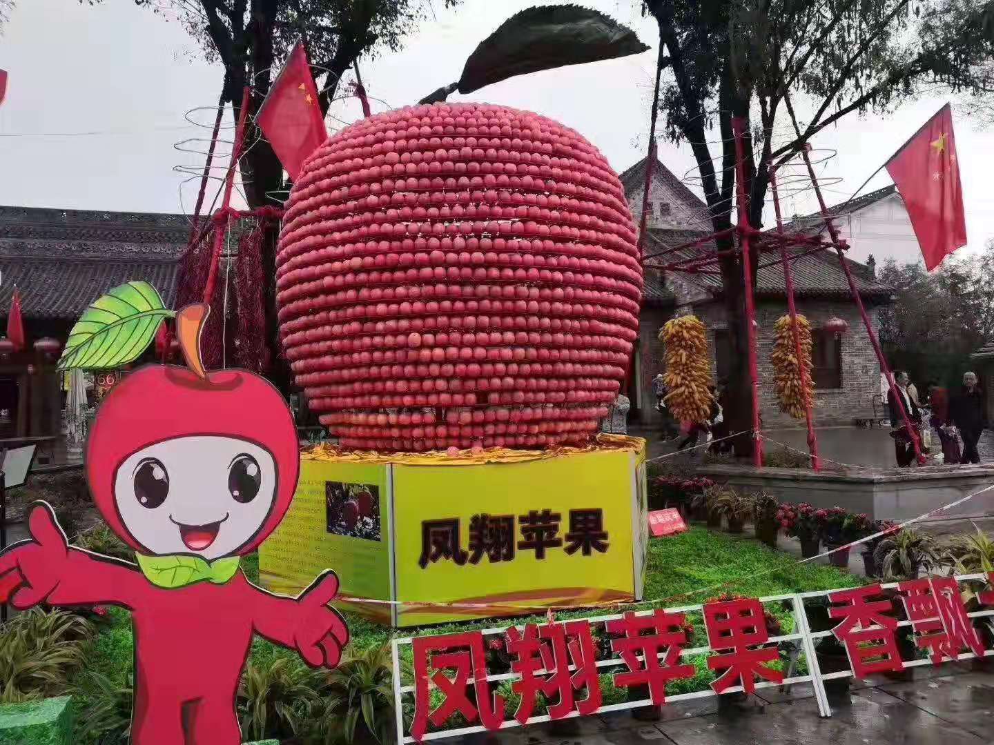 䓳Էϼҵġtʿ