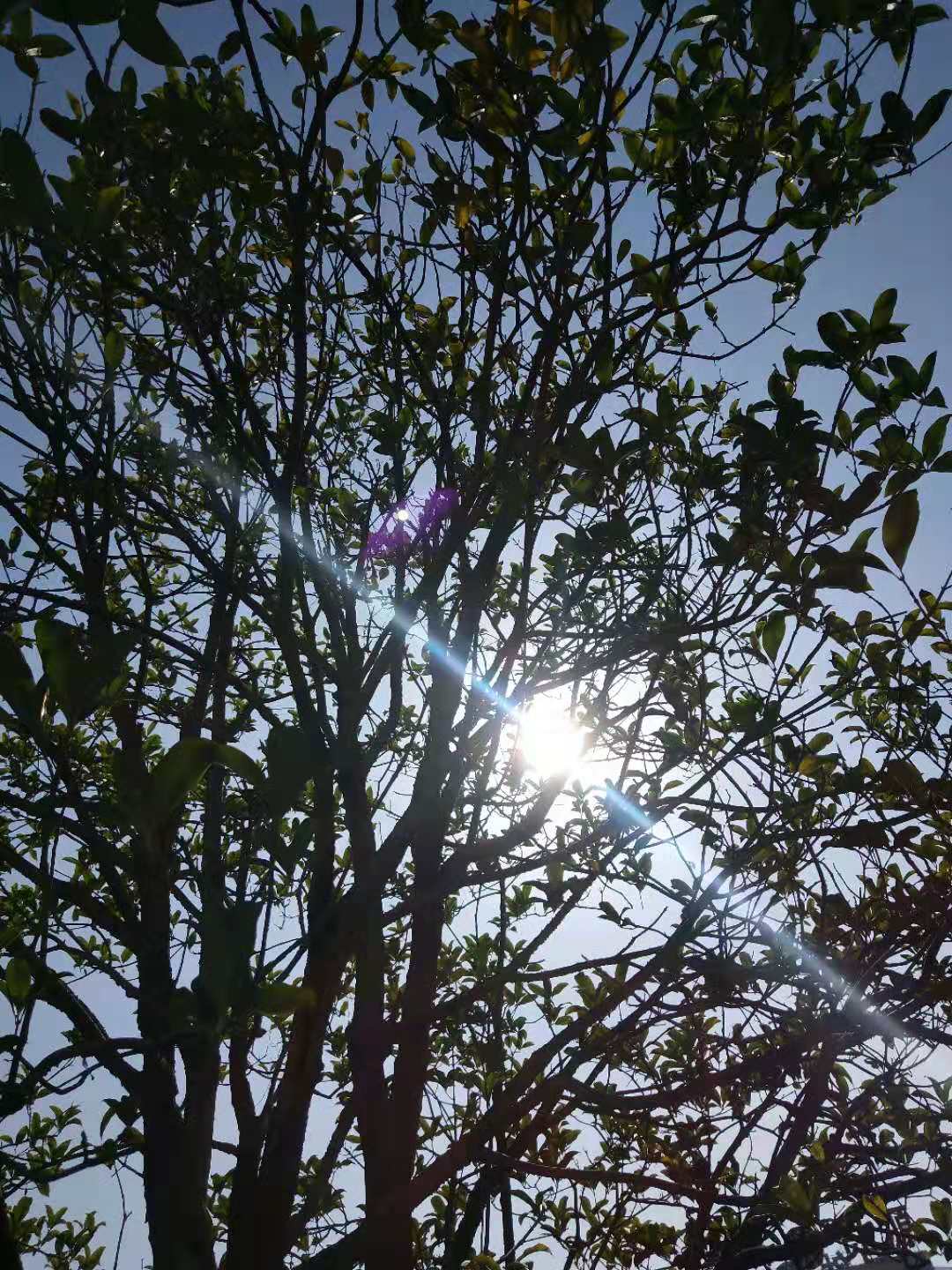䓳Էů