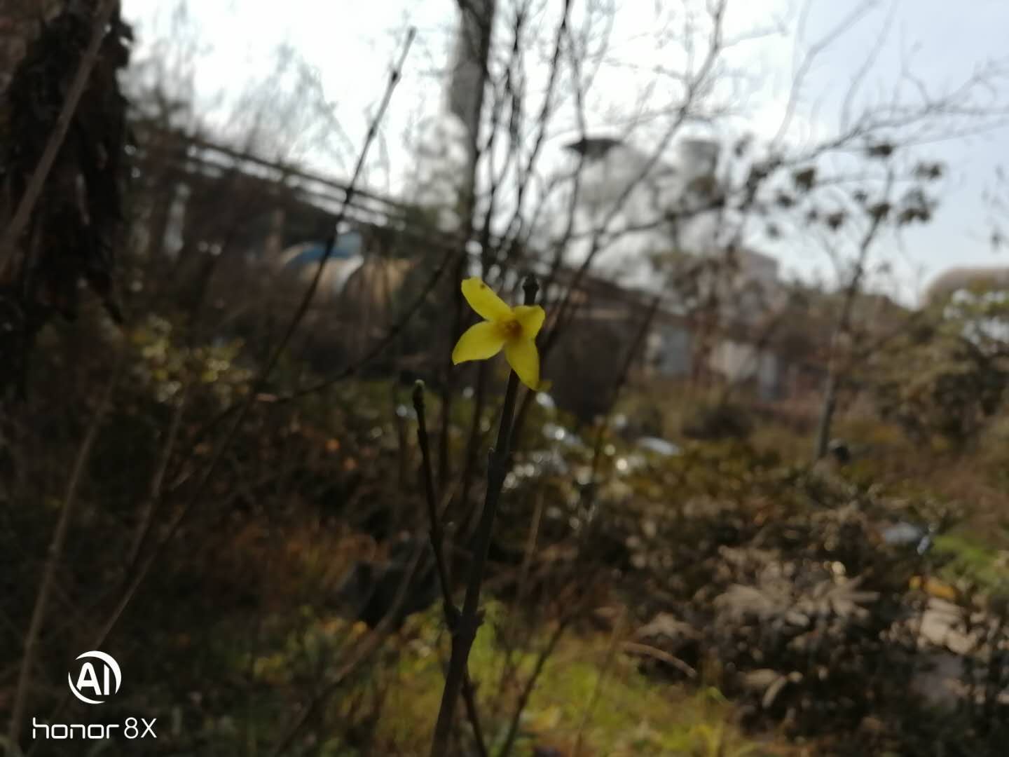 䓳ԷY(ji)֮