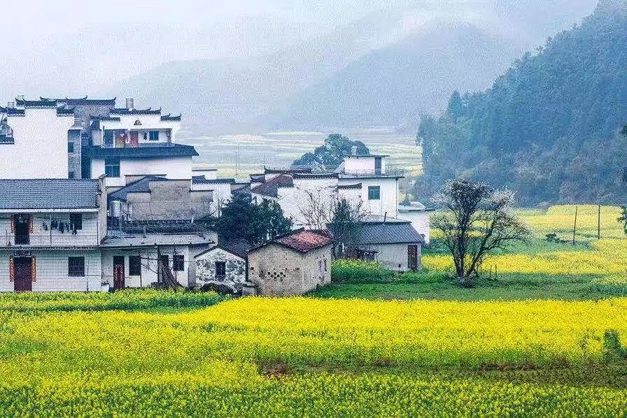 䓳Էİϻ_ٷ
