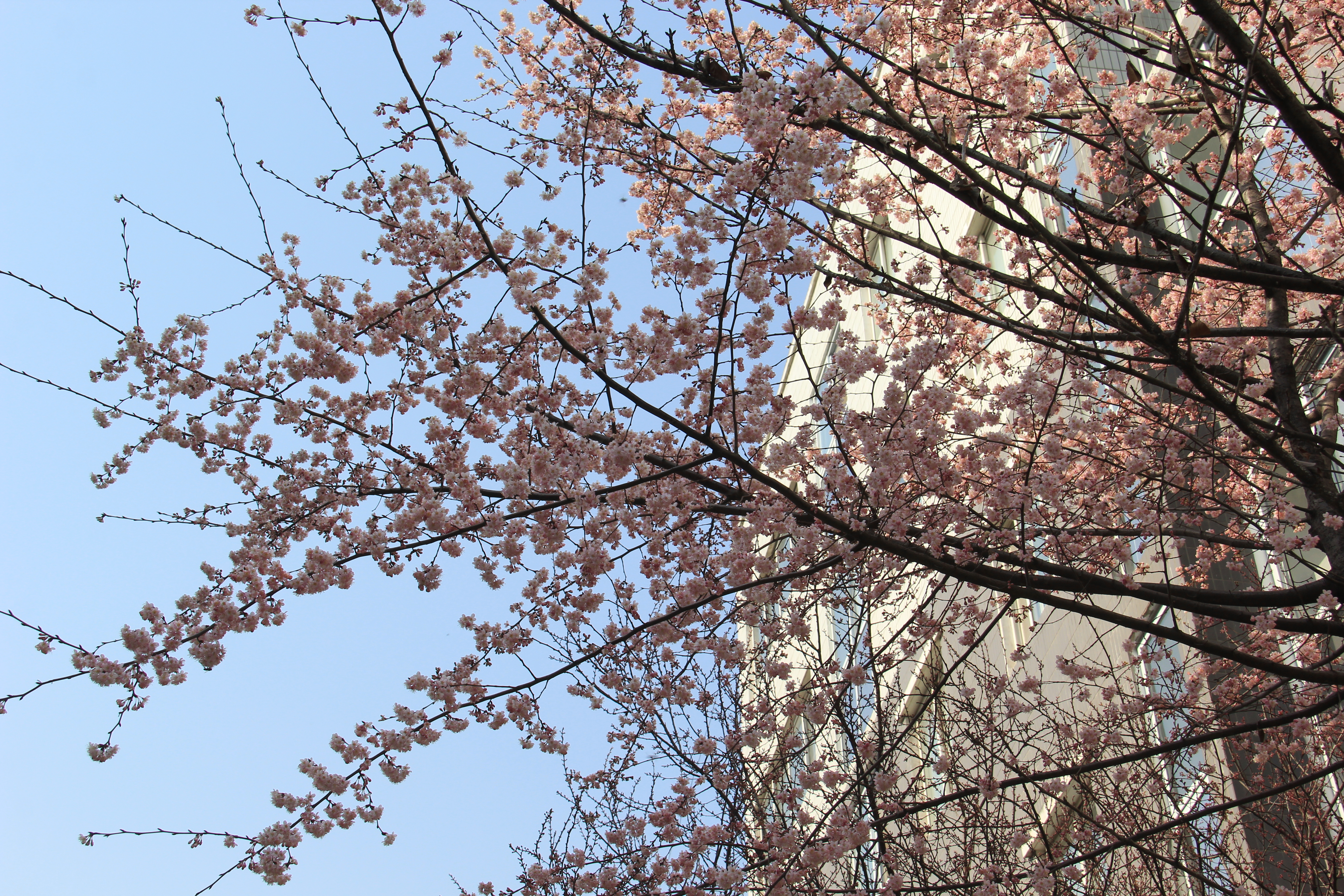 h䓡]һ(g)첻Խ  ]һ(g)첻(hu)