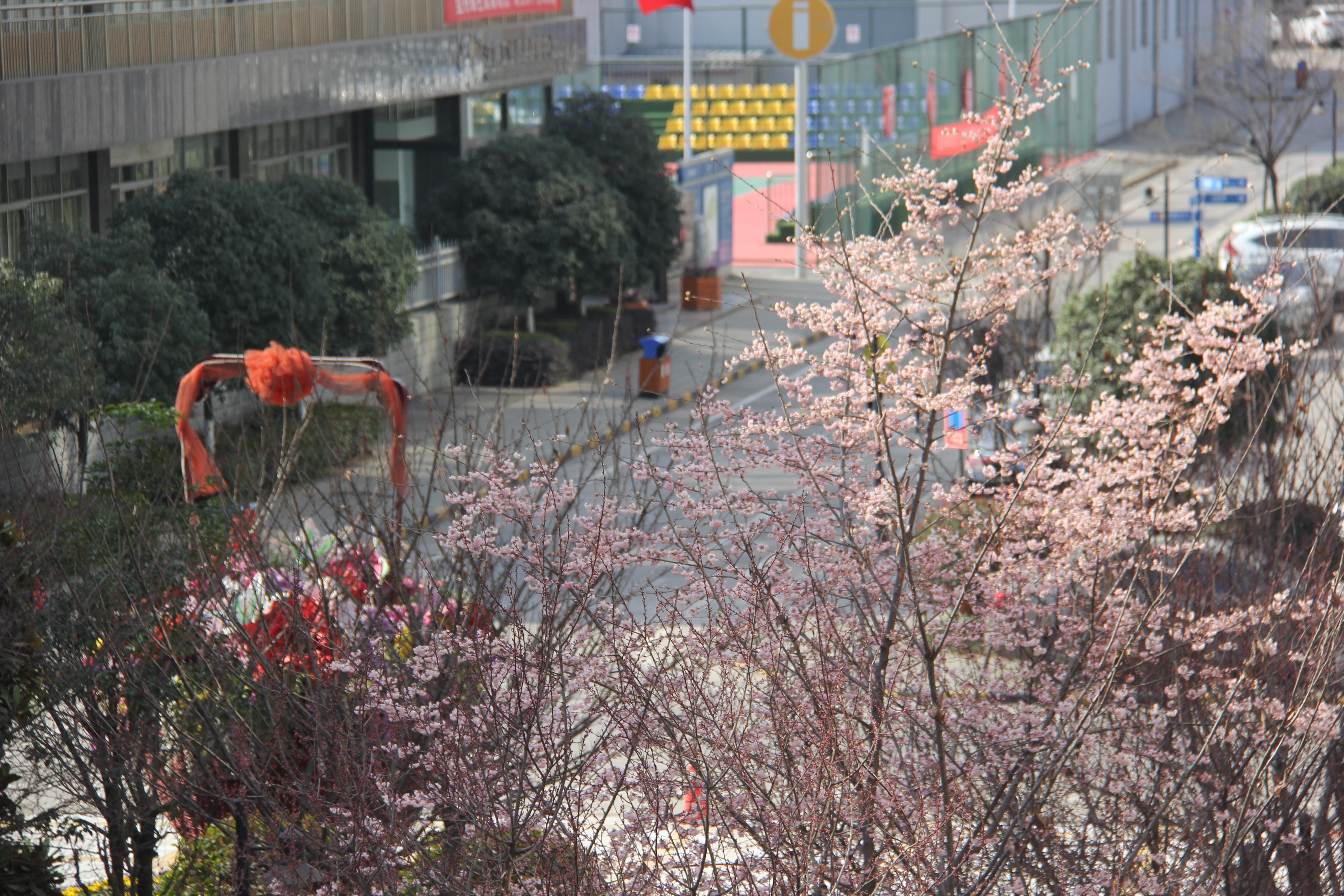 h䓡]һ첻Խ  ]һ첻