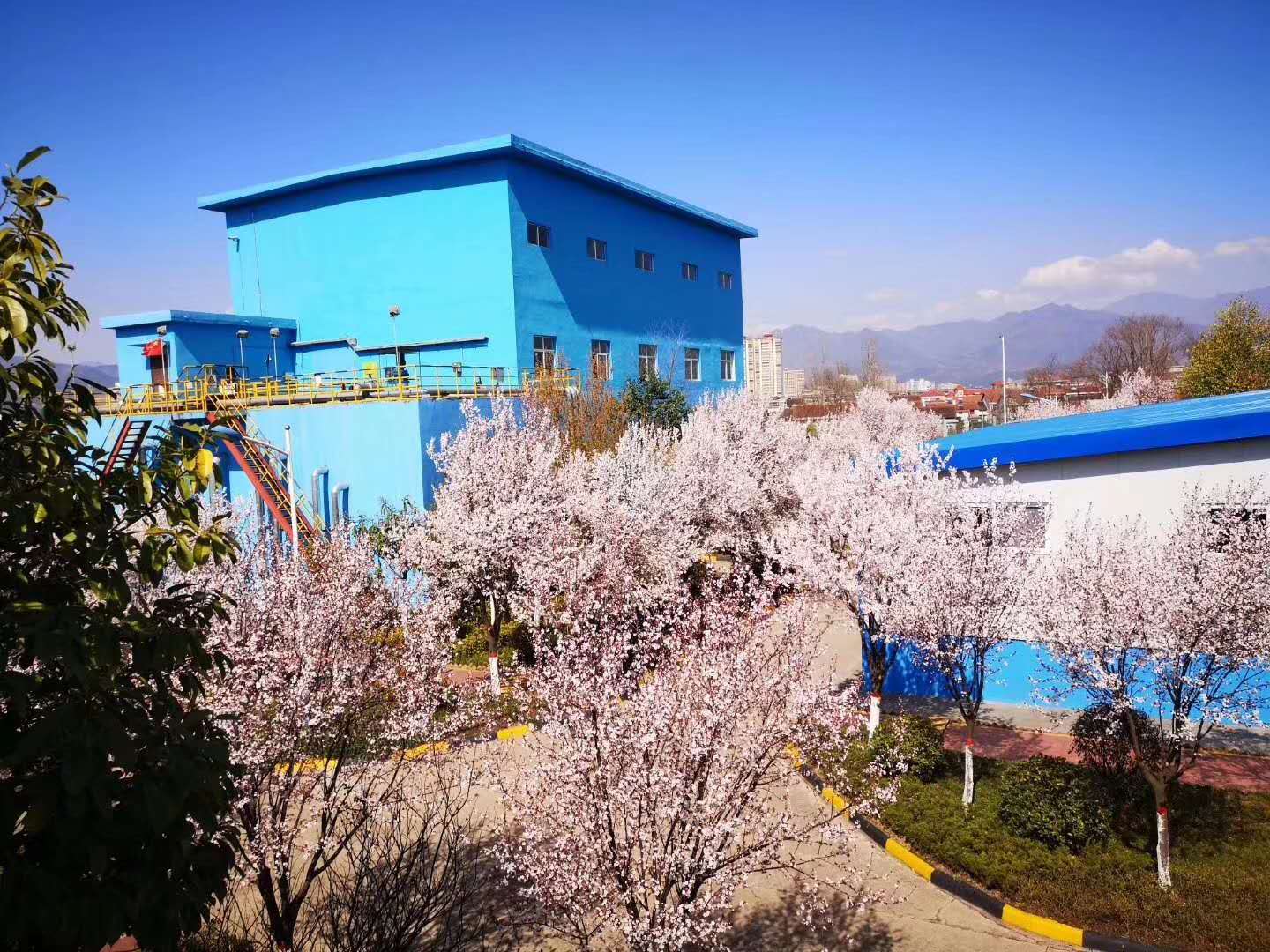 䓳Էh䓵Ĵһһ