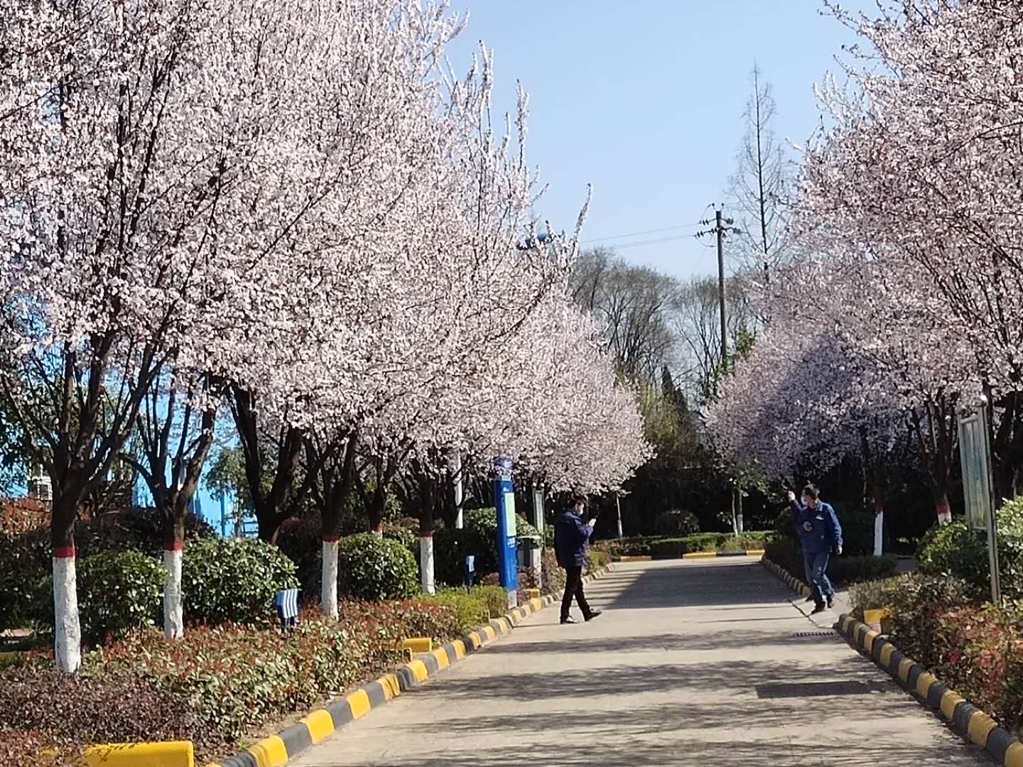 䓳Էh䓵Ĵһһ